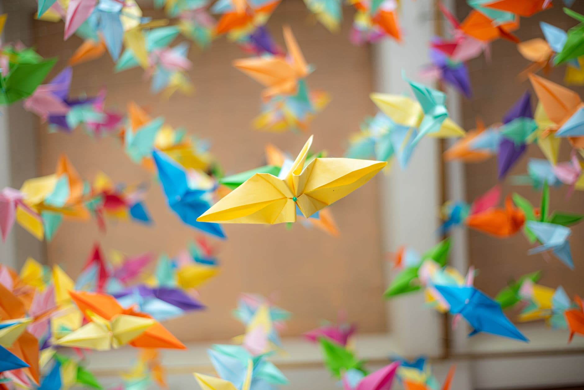 Folded paper cranes in many colours