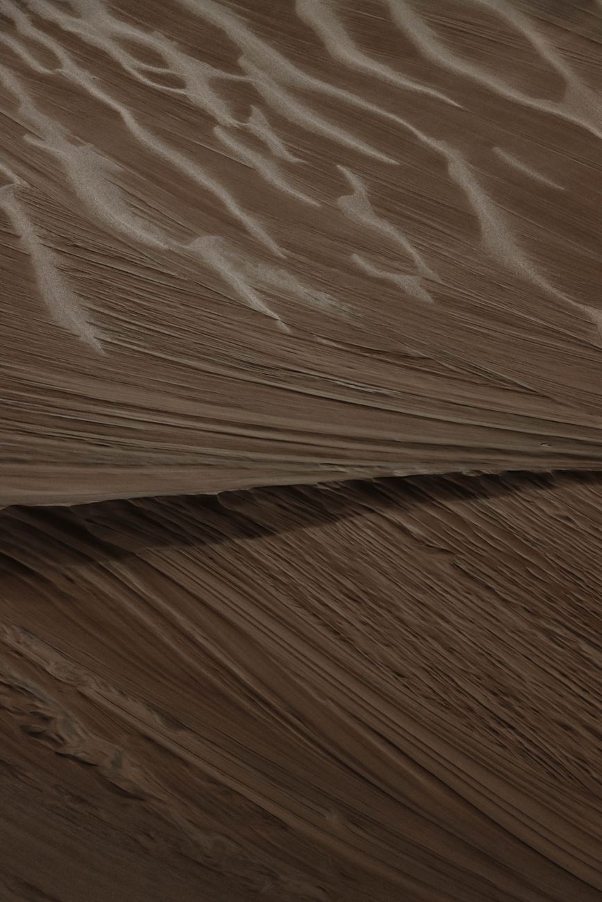 Wind-carved ridges in sand