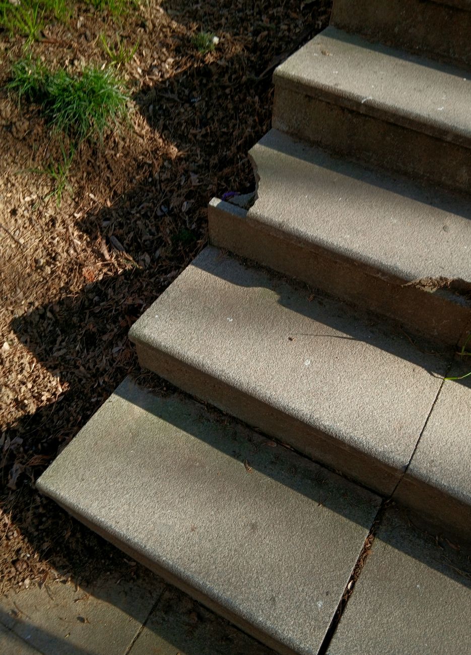 Concrete steps climbing beside a garden bed