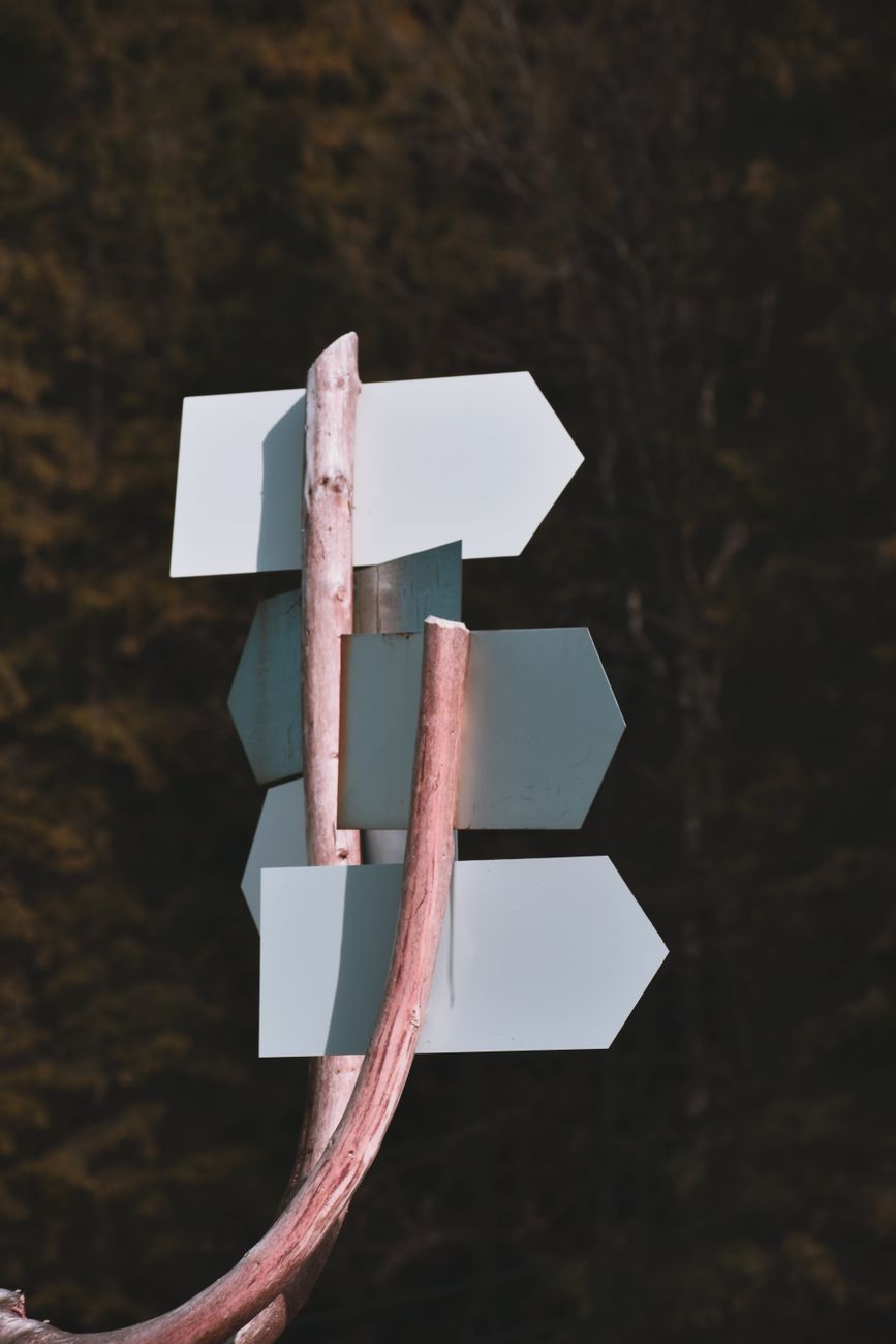 Blank direction arrows on a wooden signpost