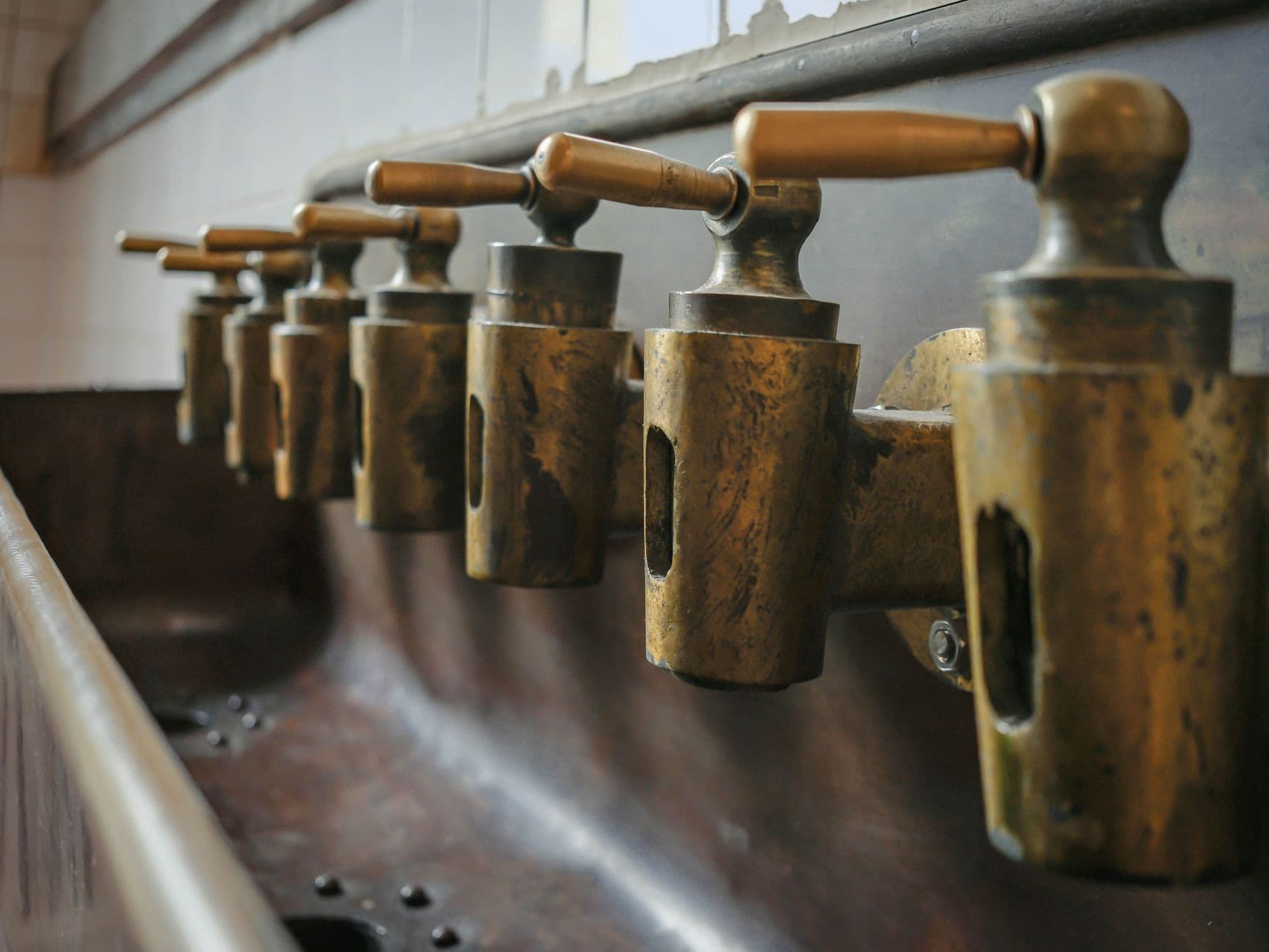 A row of brass taps
