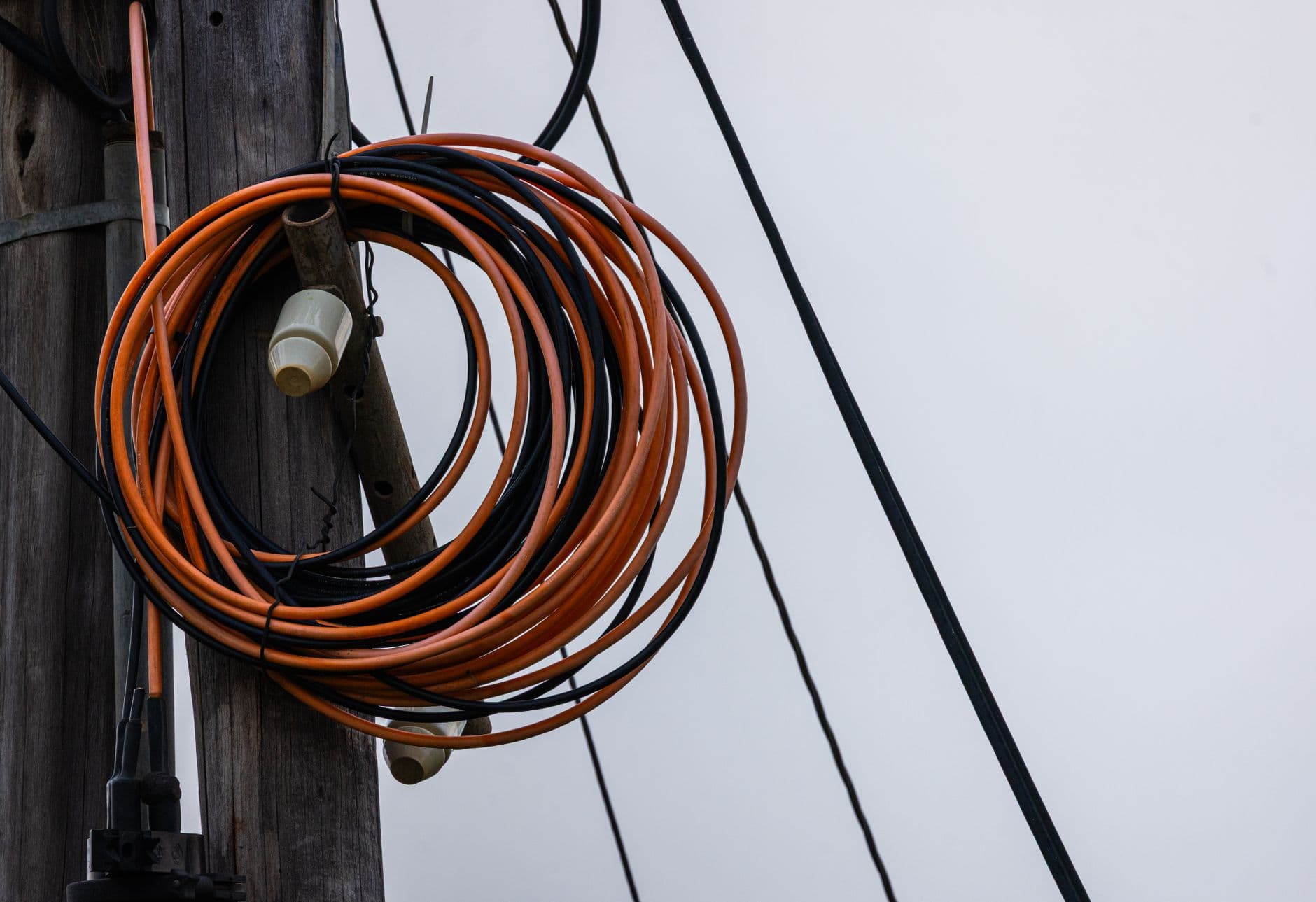 Coiled electrical cable in colours