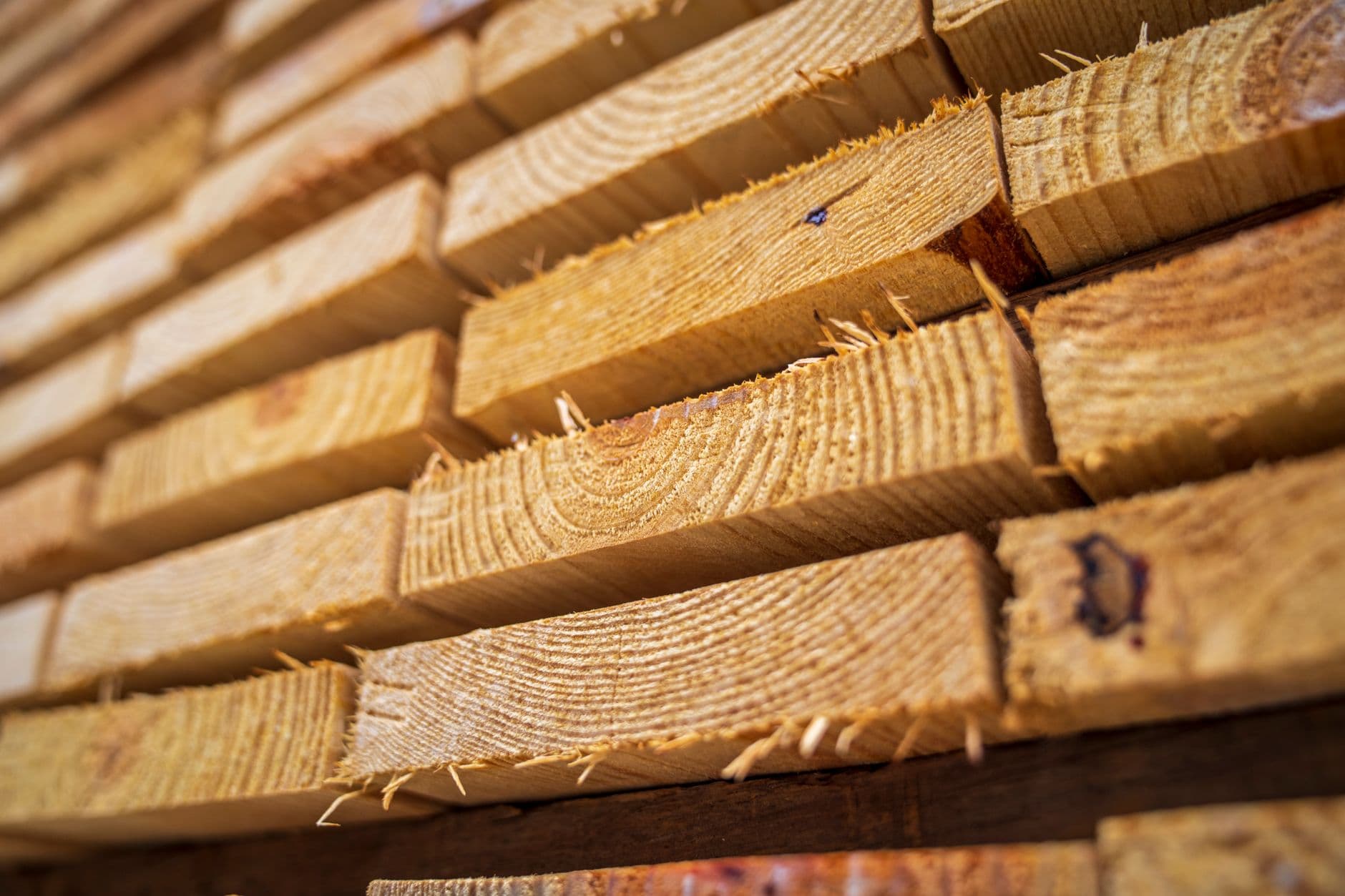 Stacked cut timber