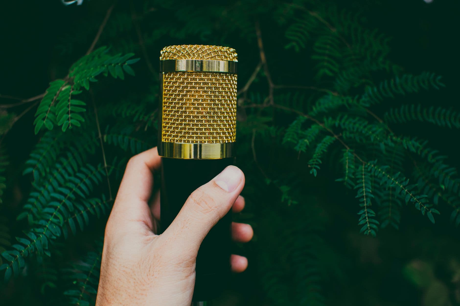 A gold-grille microphone held up
