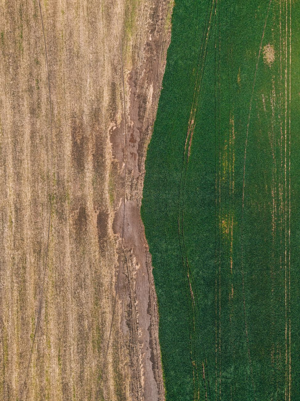 Two fields meeting, seen from above